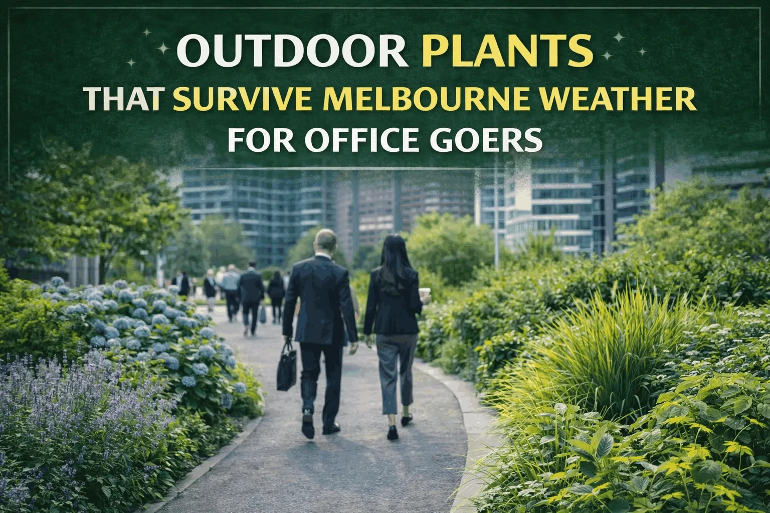 Low-maintenance outdoor plants for Melbourne offices