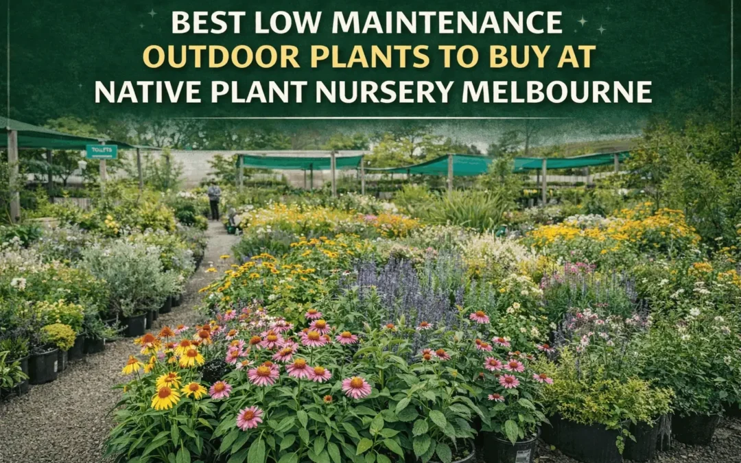 Best Low Maintenance Outdoor Plants to Buy at Native Plant Nursery