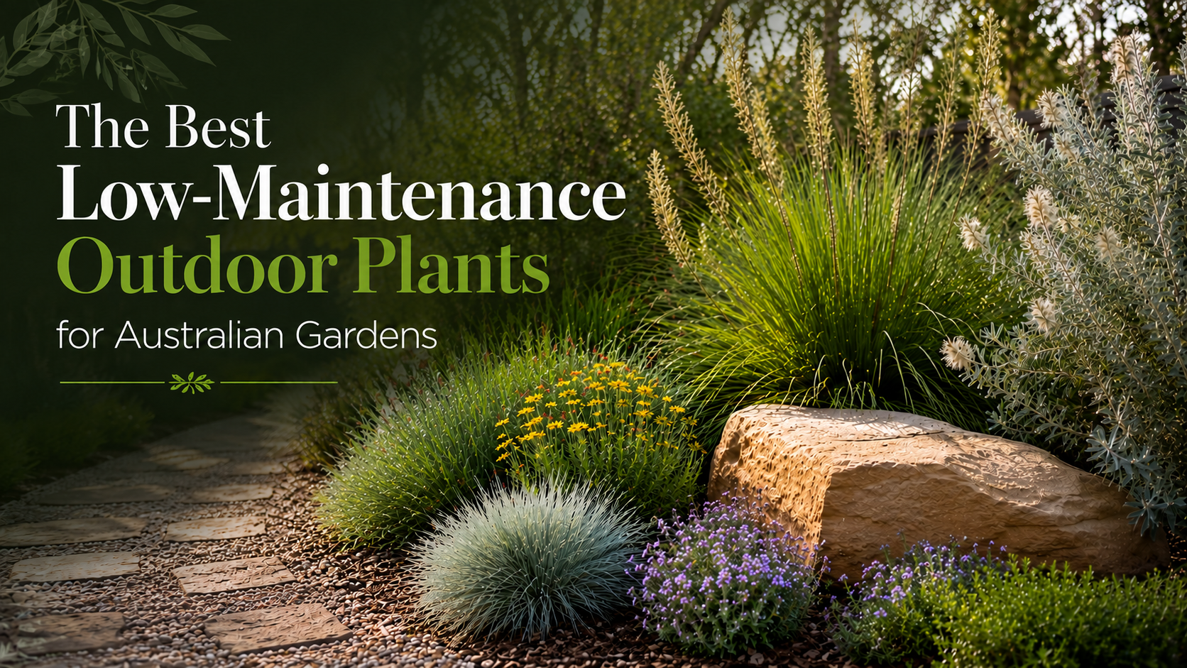 The Best Low-Maintenance Outdoor Plants for Australian Gardens